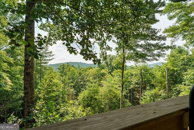 120 Bell Camp Ridge Road, Blue Ridge, GA 30513
