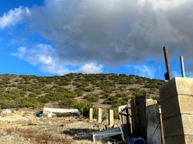 Tuckerway Ranch Rd Road, Acton, CA 93510