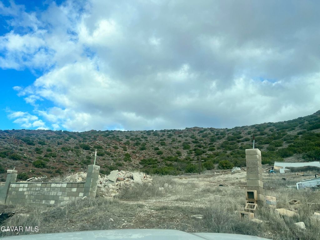 Tuckerway Ranch Rd Road, Acton, CA 93510