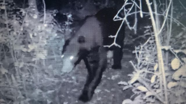 2732 State Highway 9, Ada, MN 56510