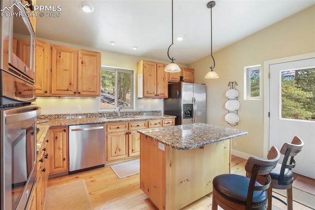 185 Wildcat Creek Drive, Florissant, CO 80816