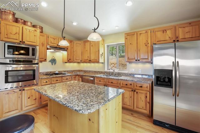185 Wildcat Creek Drive, Florissant, CO 80816
