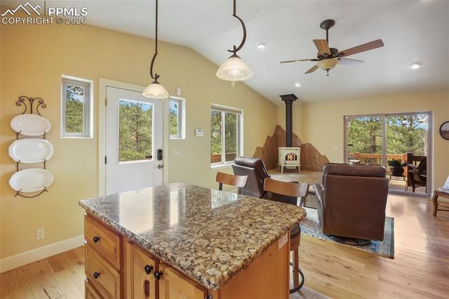 185 Wildcat Creek Drive, Florissant, CO 80816