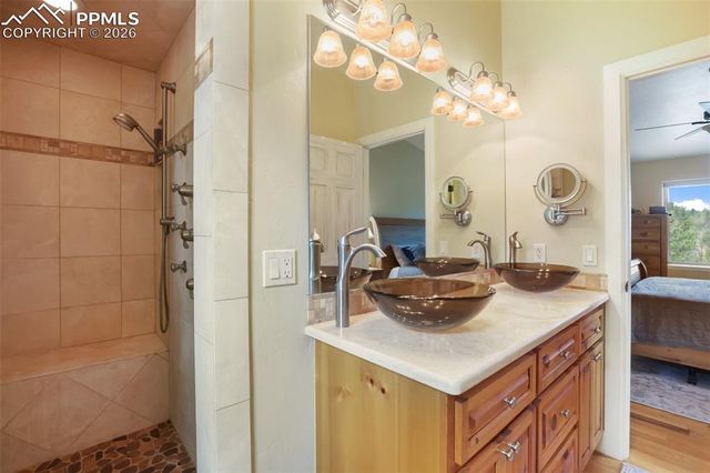 185 Wildcat Creek Drive, Florissant, CO 80816