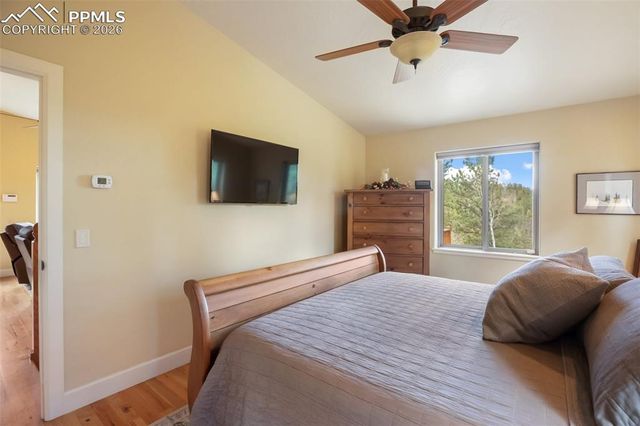 185 Wildcat Creek Drive, Florissant, CO 80816