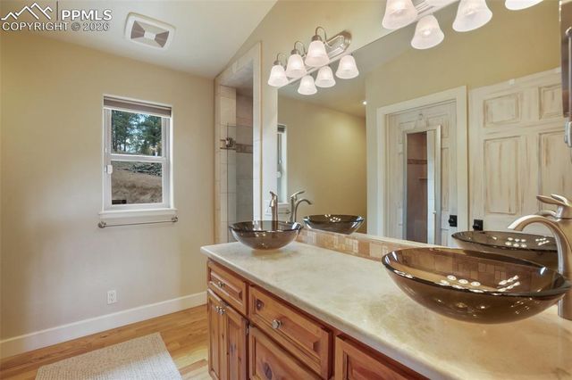 185 Wildcat Creek Drive, Florissant, CO 80816