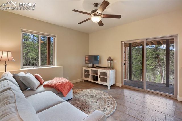 185 Wildcat Creek Drive, Florissant, CO 80816