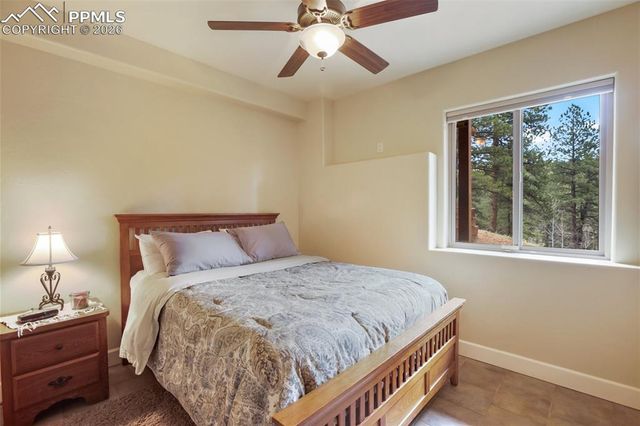 185 Wildcat Creek Drive, Florissant, CO 80816