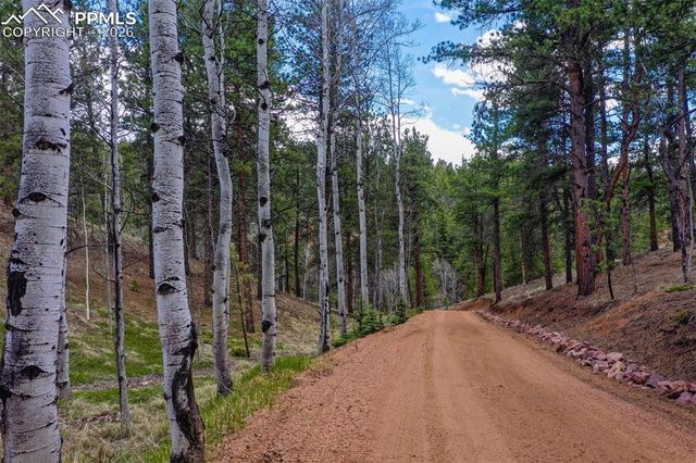 185 Wildcat Creek Drive, Florissant, CO 80816