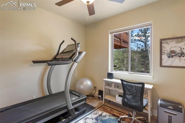 185 Wildcat Creek Drive, Florissant, CO 80816