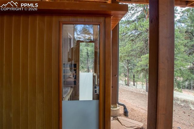 185 Wildcat Creek Drive, Florissant, CO 80816