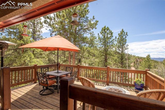 185 Wildcat Creek Drive, Florissant, CO 80816