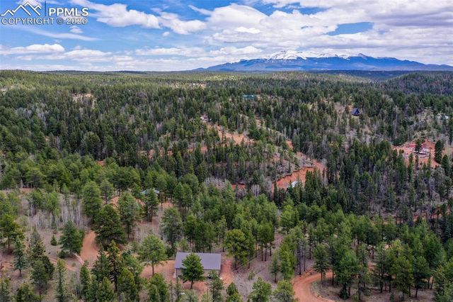 185 Wildcat Creek Drive, Florissant, CO 80816