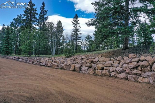 185 Wildcat Creek Drive, Florissant, CO 80816