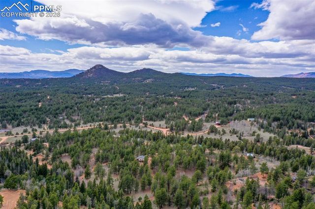 185 Wildcat Creek Drive, Florissant, CO 80816