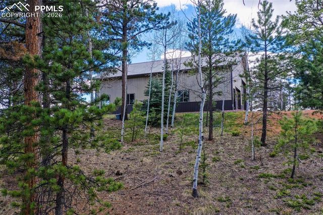 185 Wildcat Creek Drive, Florissant, CO 80816