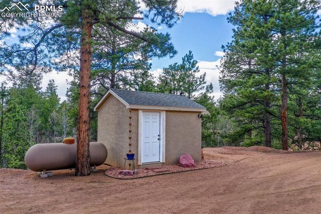 185 Wildcat Creek Drive, Florissant, CO 80816