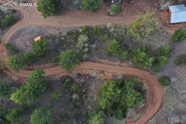 185 Wildcat Creek Drive, Florissant, CO 80816