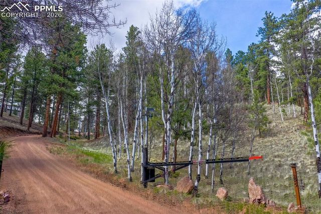 185 Wildcat Creek Drive, Florissant, CO 80816