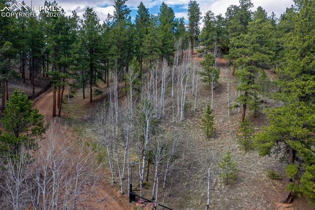 185 Wildcat Creek Drive, Florissant, CO 80816