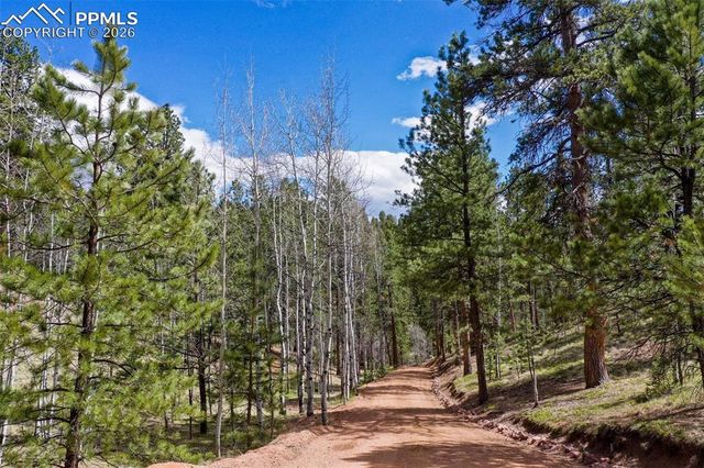 185 Wildcat Creek Drive, Florissant, CO 80816