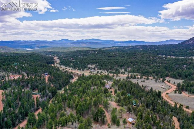 185 Wildcat Creek Drive, Florissant, CO 80816