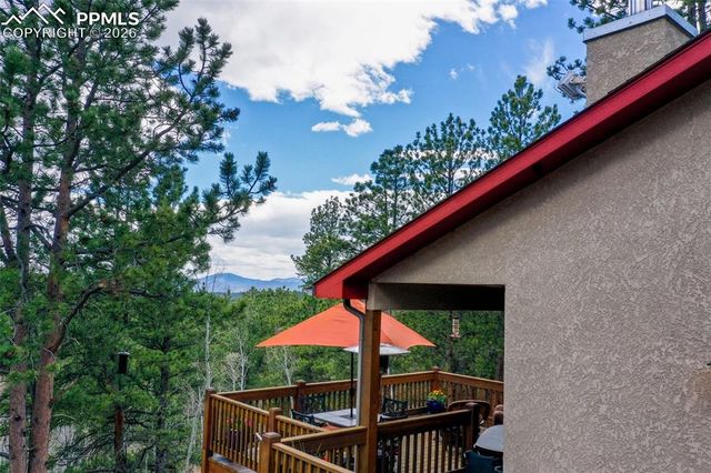 185 Wildcat Creek Drive, Florissant, CO 80816
