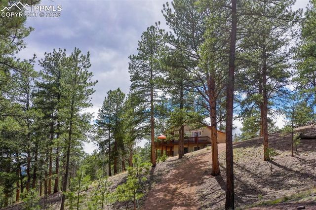 185 Wildcat Creek Drive, Florissant, CO 80816