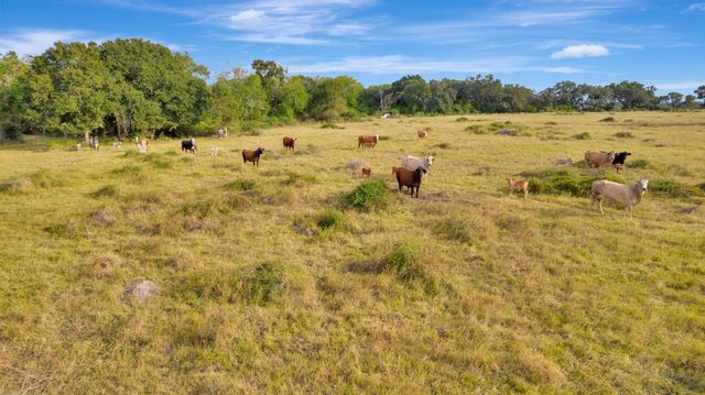 TBD Fm 530, Edna, TX 77957
