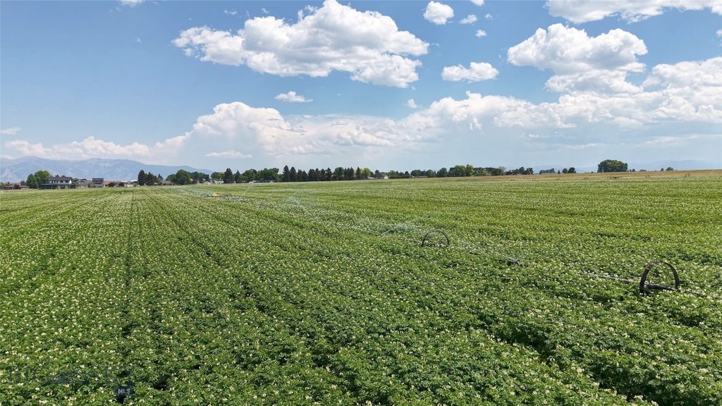 Tract 5 (82 Acres) Churchill Road, Churchill, MT 59741 photo 13