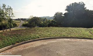 Lot 29 Bluff Shadows Lane, Seymour, TN 37865