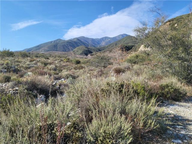 0 Land, Alta Loma, CA 94730