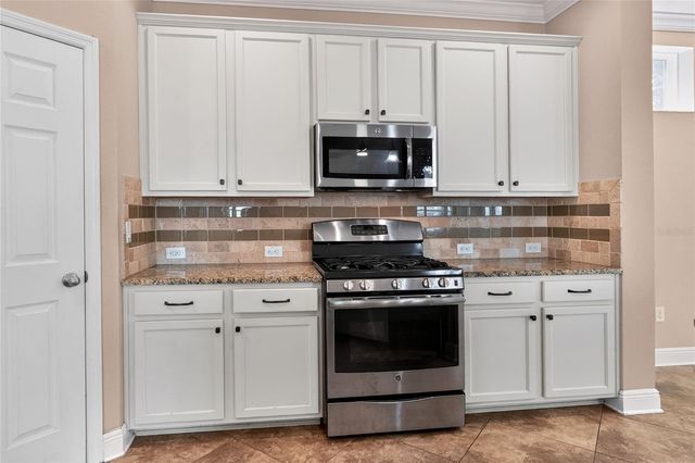 16302 BAYBERRY VIEW DRIVE, Lithia, FL 33547