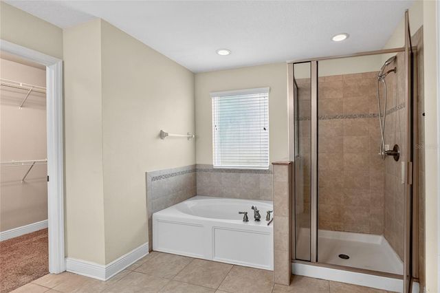 16302 BAYBERRY VIEW DRIVE, Lithia, FL 33547