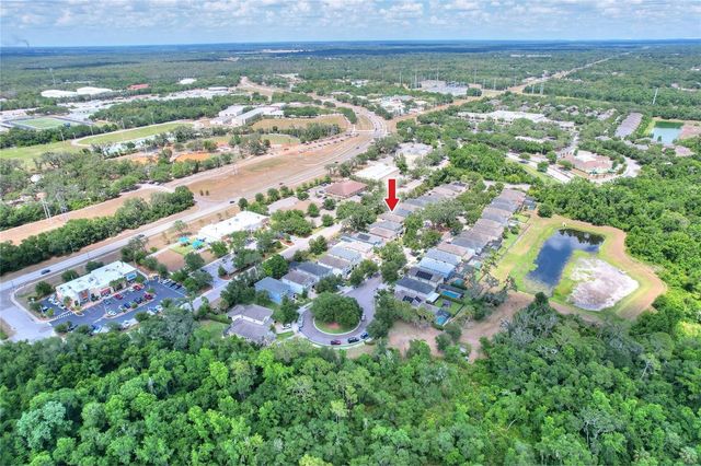 16302 BAYBERRY VIEW DRIVE, Lithia, FL 33547