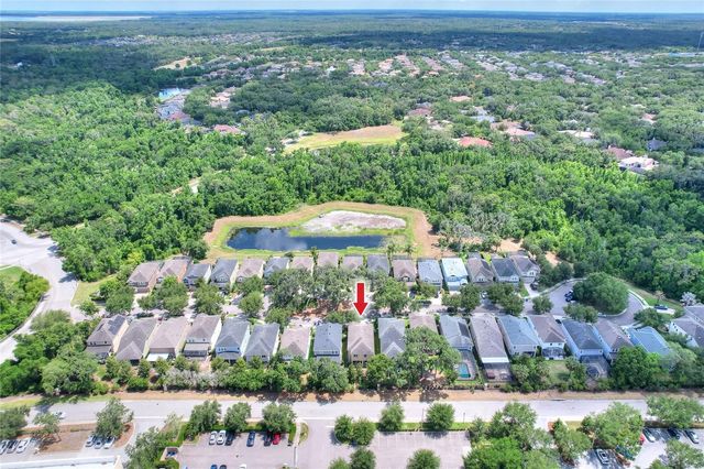 16302 BAYBERRY VIEW DRIVE, Lithia, FL 33547