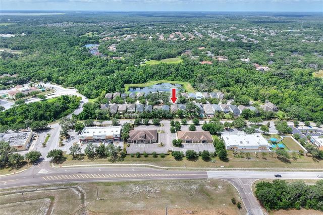 16302 BAYBERRY VIEW DRIVE, Lithia, FL 33547