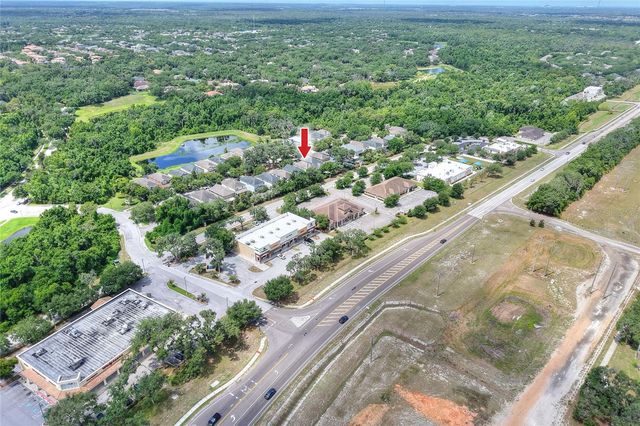 16302 BAYBERRY VIEW DRIVE, Lithia, FL 33547