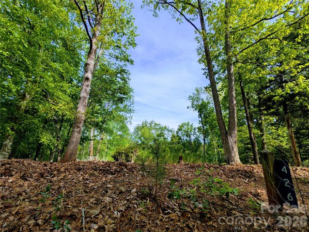 426 Mountain Ridge Court, Fort Mill, SC 29707