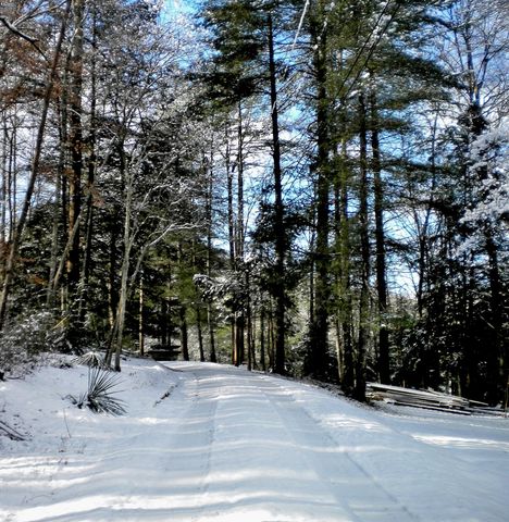 Tract 4 Dogwood Drive, Whitley City, KY 42653