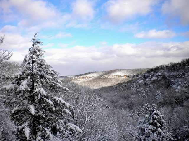 Tract 4 Dogwood Drive, Whitley City, KY 42653