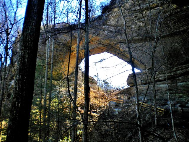 Tract 4 Dogwood Drive, Whitley City, KY 42653