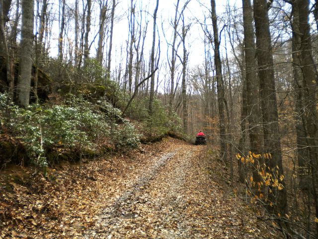 Tract 4 Dogwood Drive, Whitley City, KY 42653