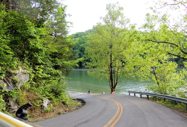 Tract 4 Dogwood Drive, Whitley City, KY 42653