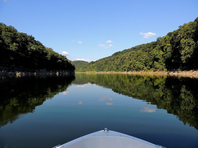 Tract 4 Dogwood Drive, Whitley City, KY 42653