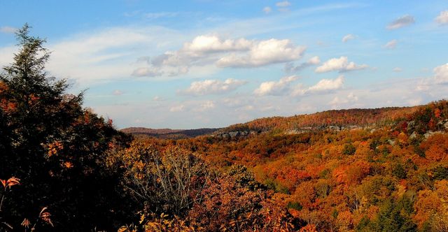 Tract 4 Dogwood Drive, Whitley City, KY 42653