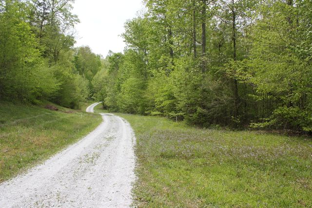 Tract 4 Dogwood Drive, Whitley City, KY 42653