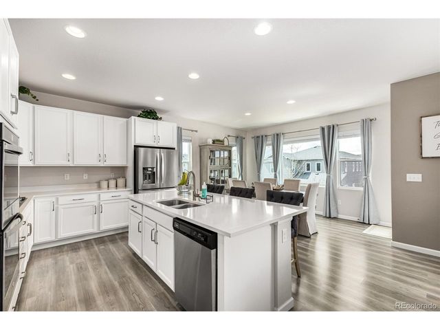 1172 Basalt Ridge Loop, Castle Rock, CO 80108