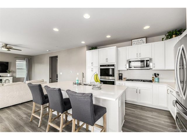 1172 Basalt Ridge Loop, Castle Rock, CO 80108