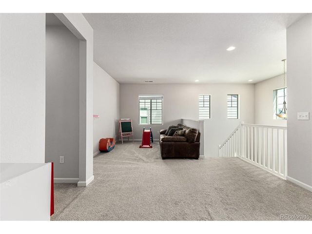 1172 Basalt Ridge Loop, Castle Rock, CO 80108